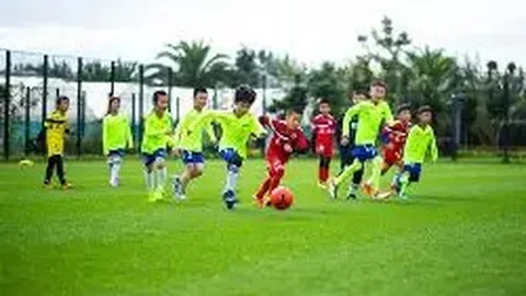 巅峰国际 资讯 132203 w1q