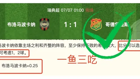 巅峰国际 085710 7
